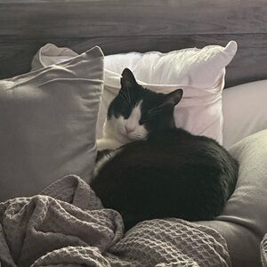 Meet your Posher, Brenda